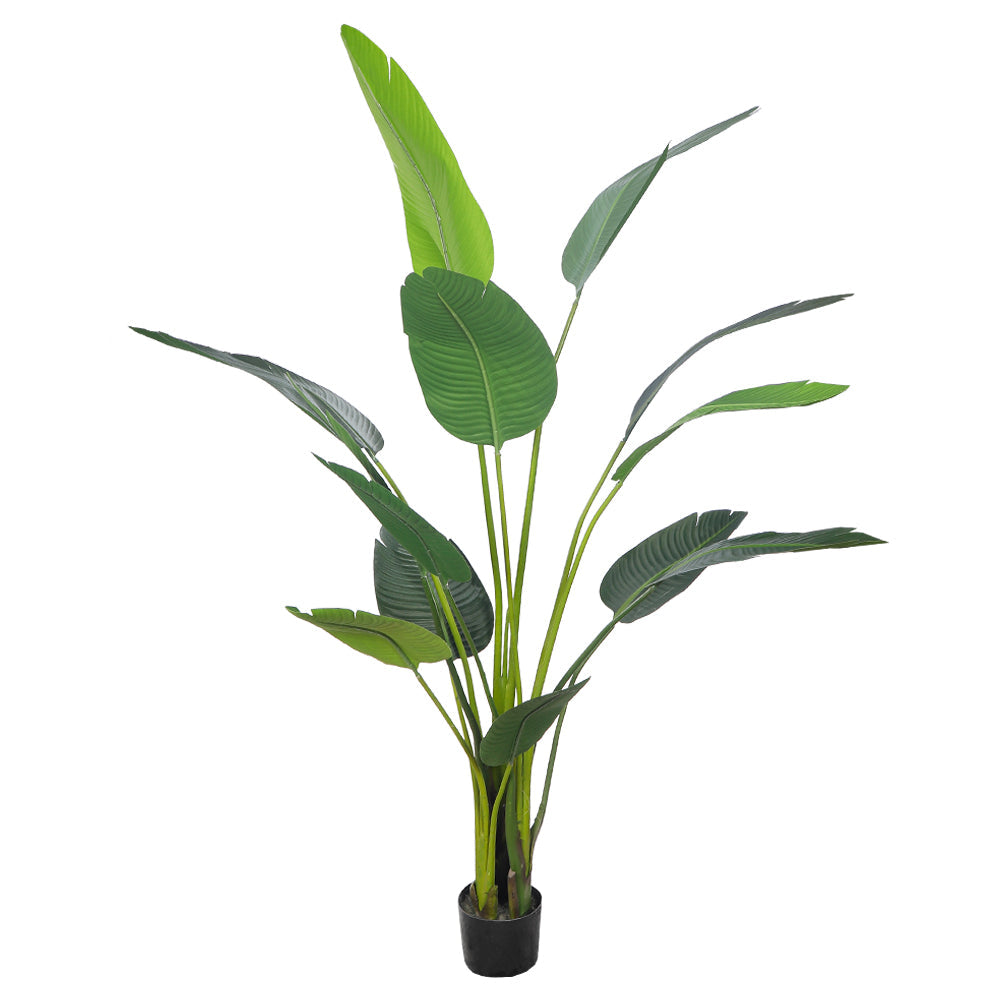 Artificial Banana Plant 185m High