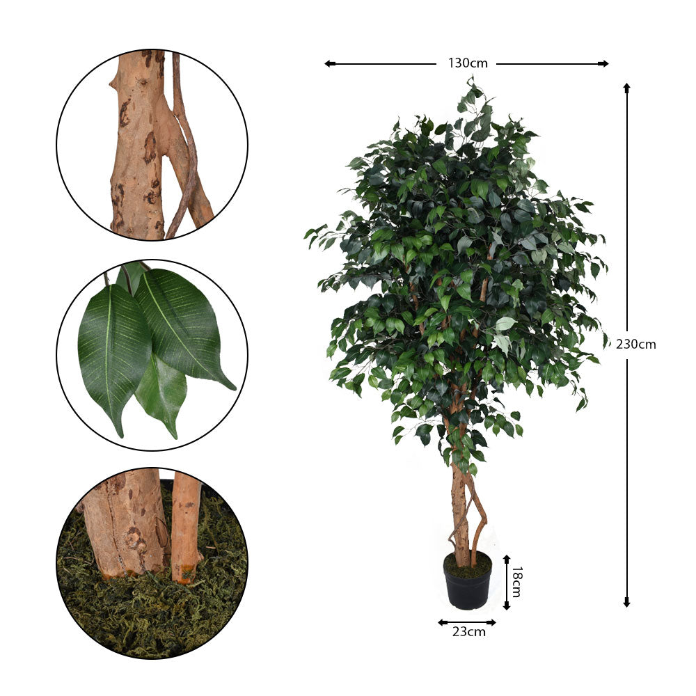 Artificial Ficus Plant 2.3 Meters High
