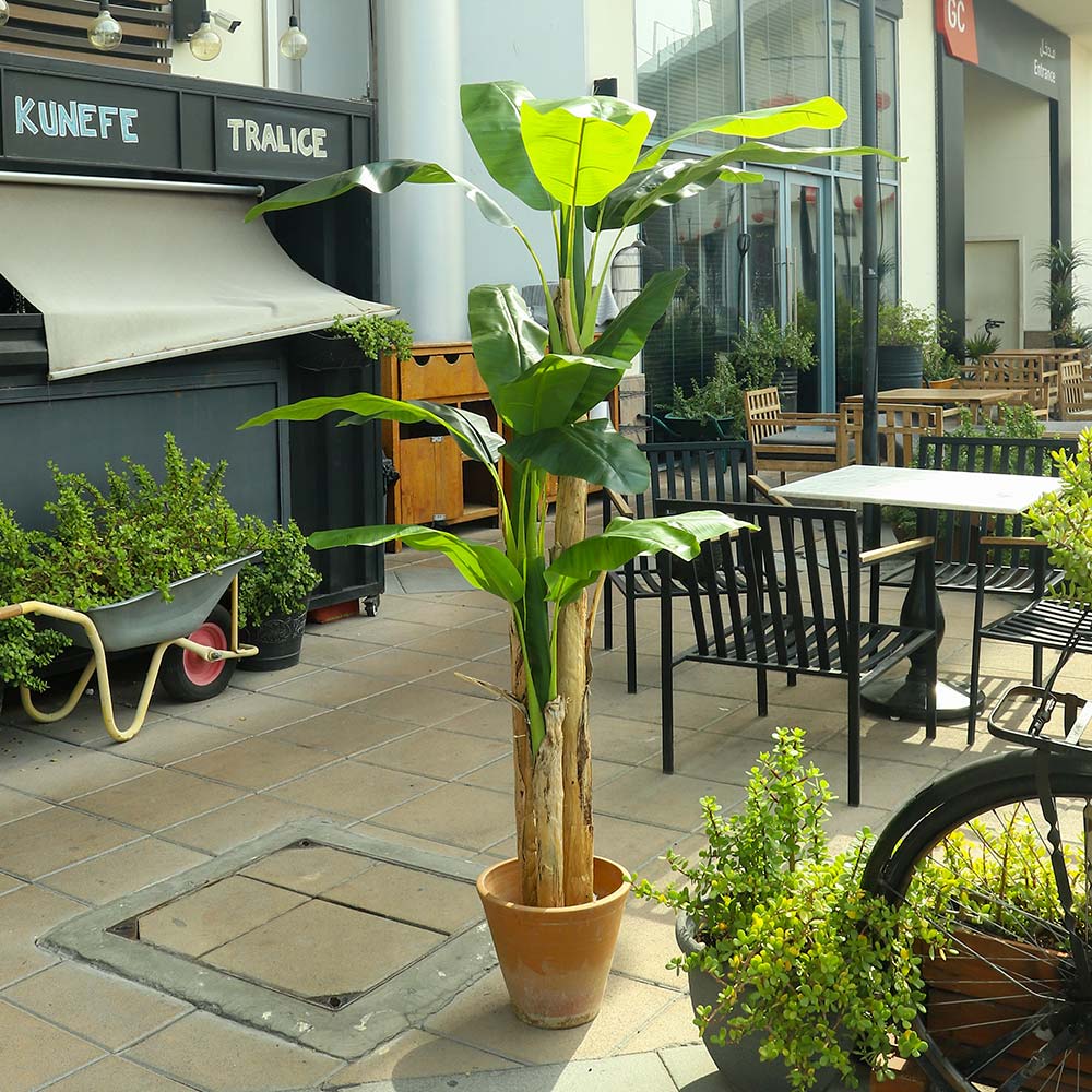 Artificial Banana Plant 2 Meter Tall