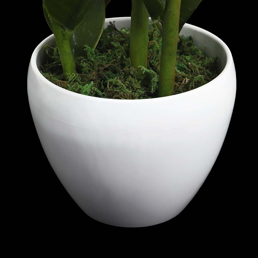 Artificial Zamioculcas Plant 60CM
