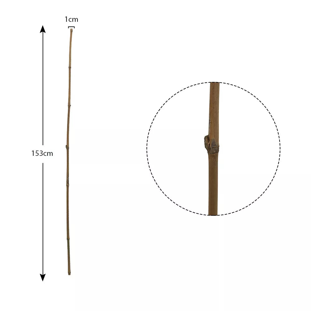 bamboo stakes