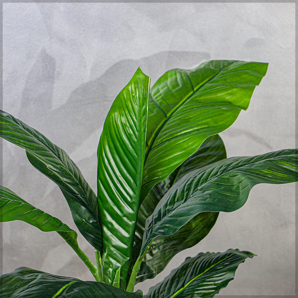 Artificial Plant 75cm High