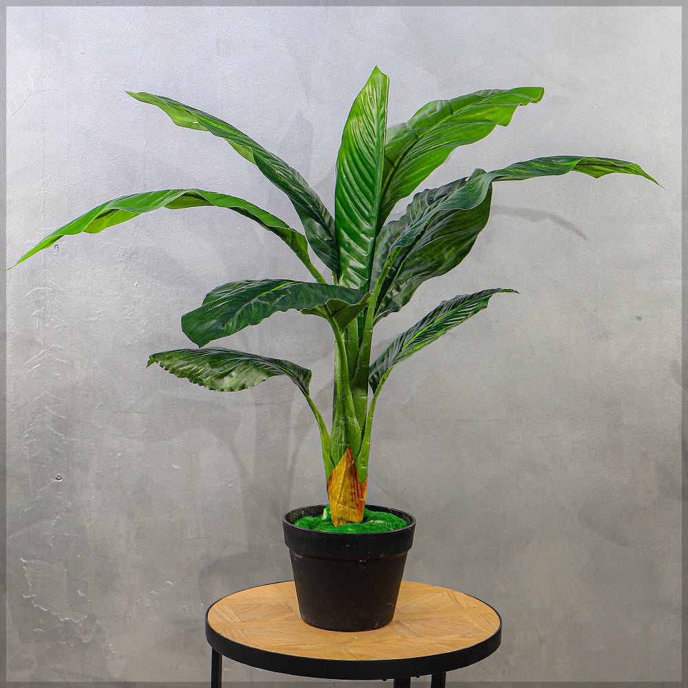 Artificial Plant 75cm High
