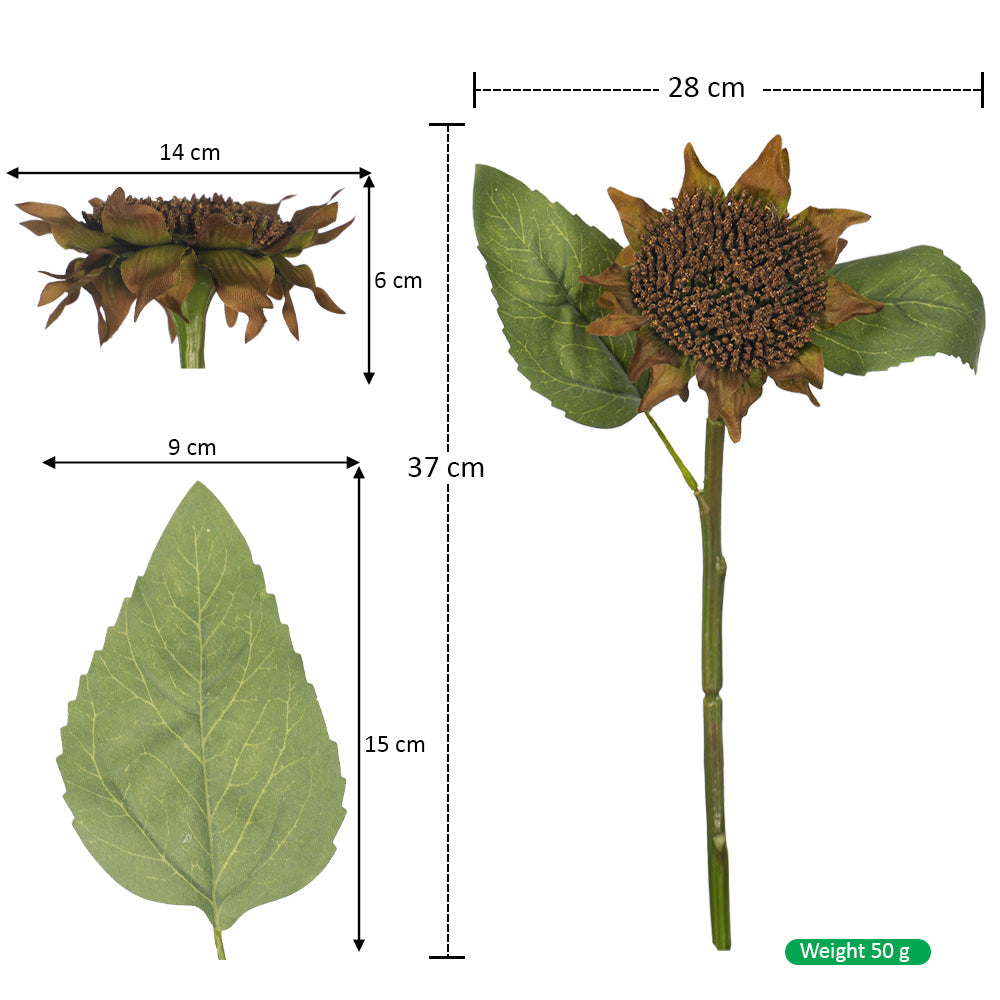 Brown Sunflower Stem