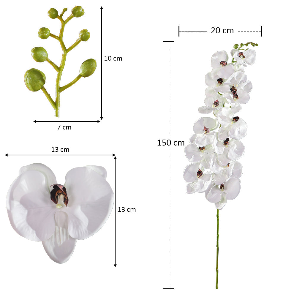 White Artificial Phalaenopsis
