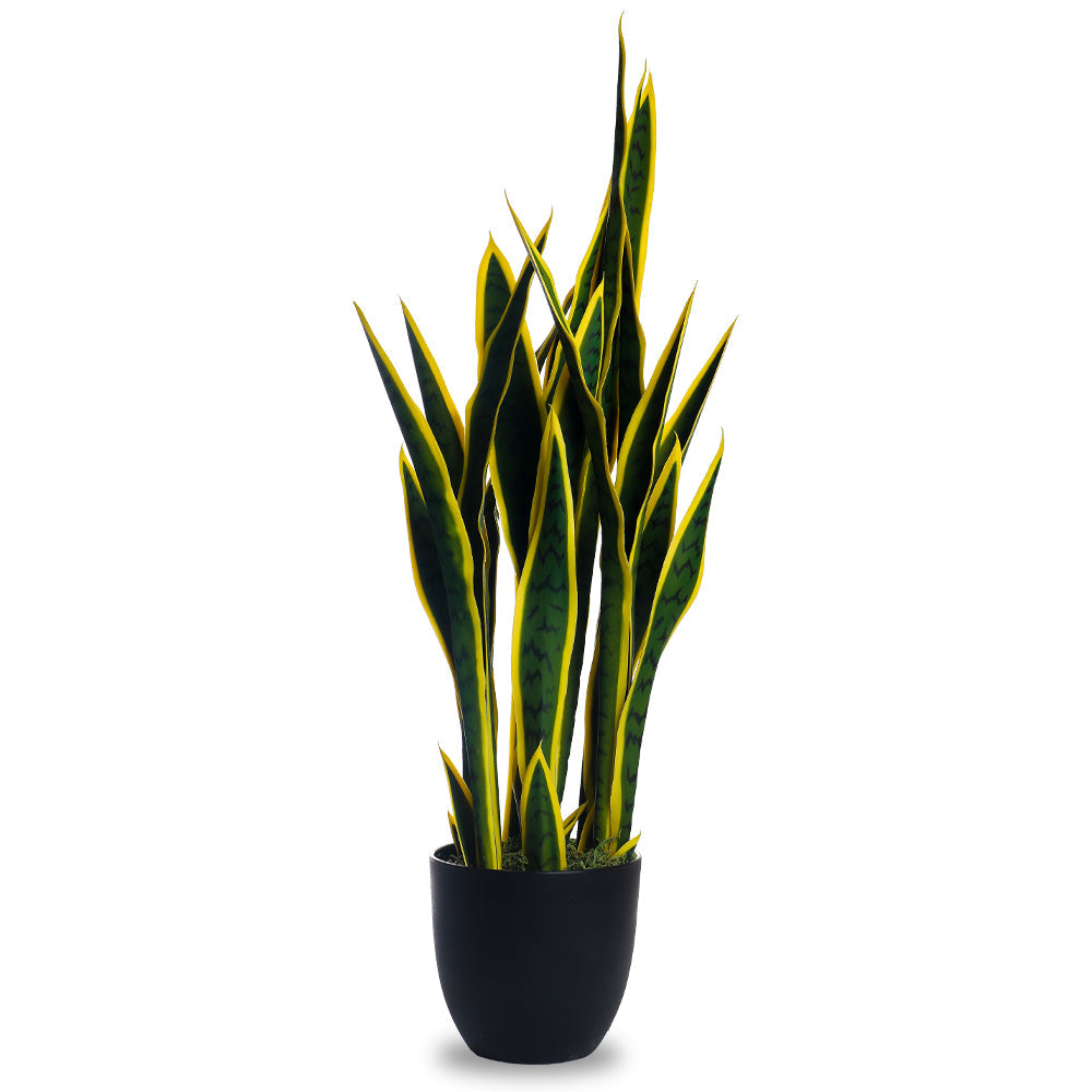 Artificial Snake Plant