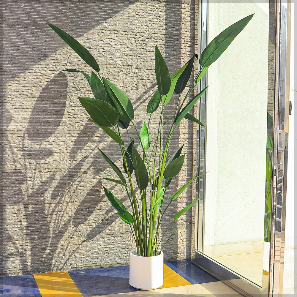 Faux Bird of Paradise Plant 230cm Tall