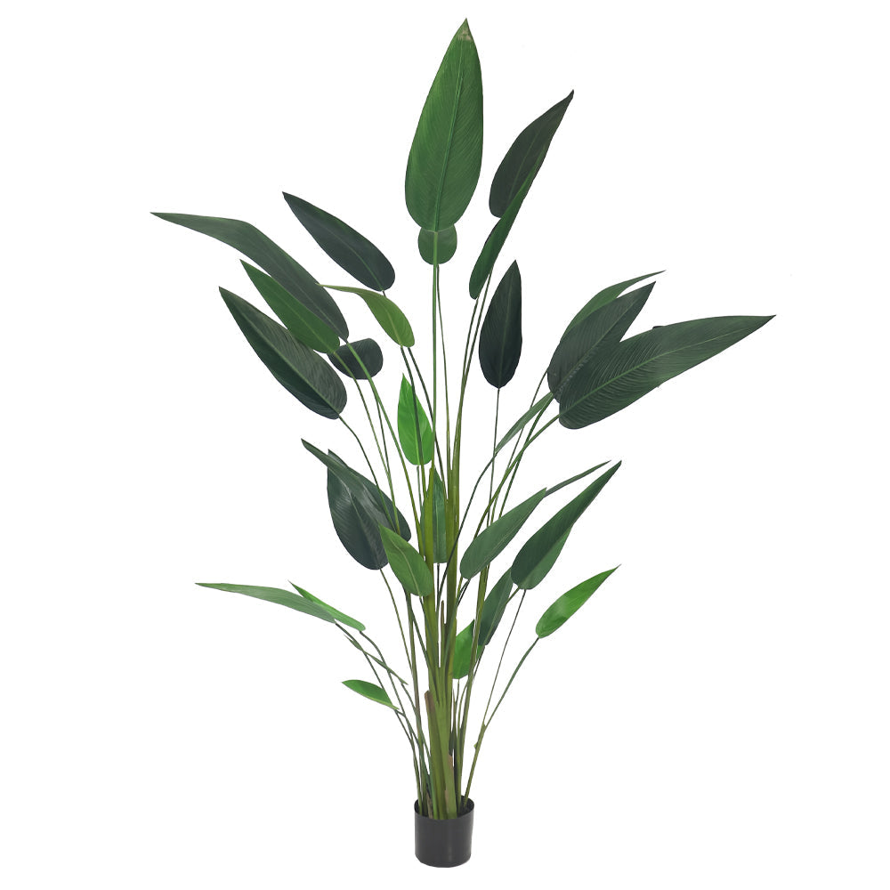 Faux Bird of Paradise Plant 230cm Tall