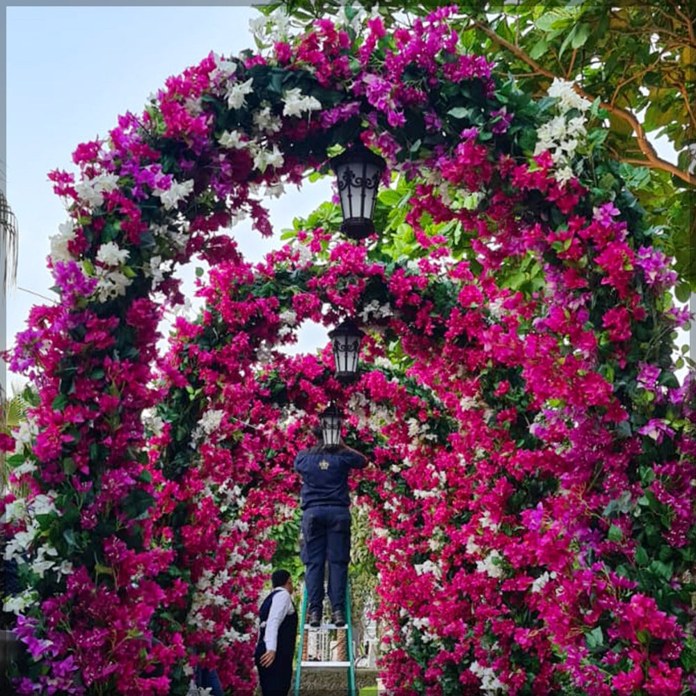 Garden Arrangement for display purposes