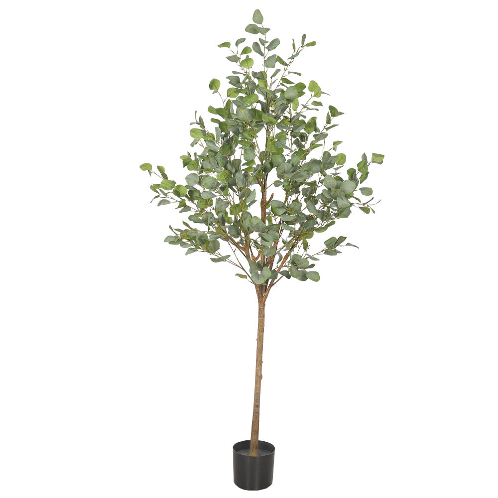 Artificial Eucalyptus Tree 180cm Tall