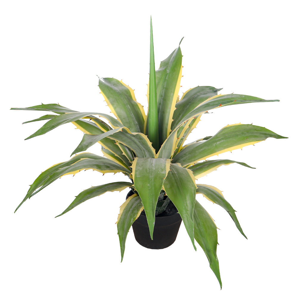 Nearly Natural Century Plant