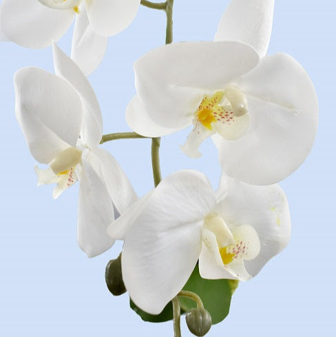 Artificial orchid flowers