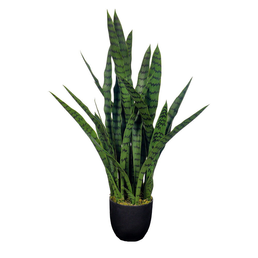 Artificial Snake Plant