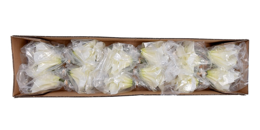 Artificial Calla Lilies Flowers