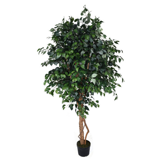Artificial Ficus Plant 2.3 Meters High