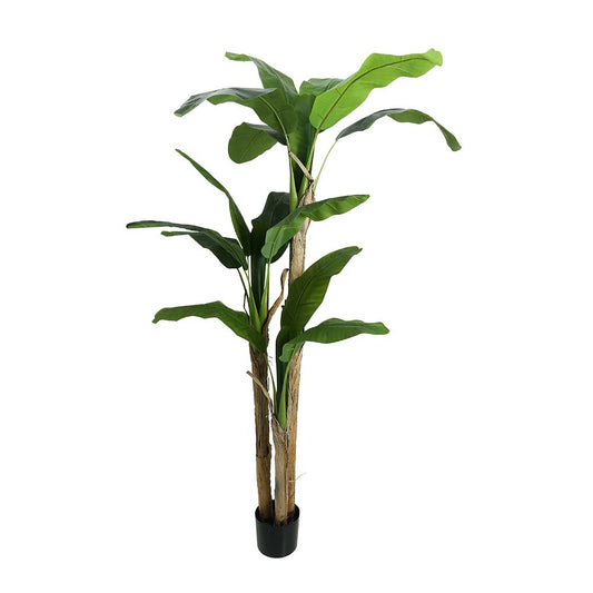 Artificial Banana Plant 2 Meter Tall