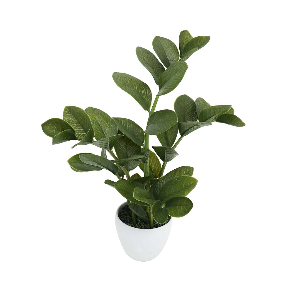 Artificial Zamioculcas Plant 60CM