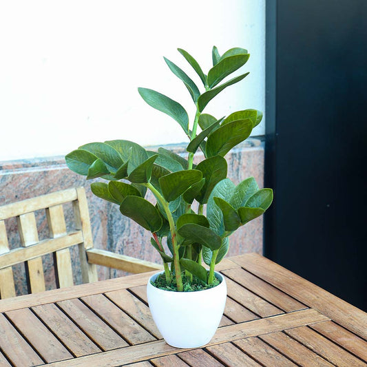 Artificial Zamioculcas Plant 60CM
