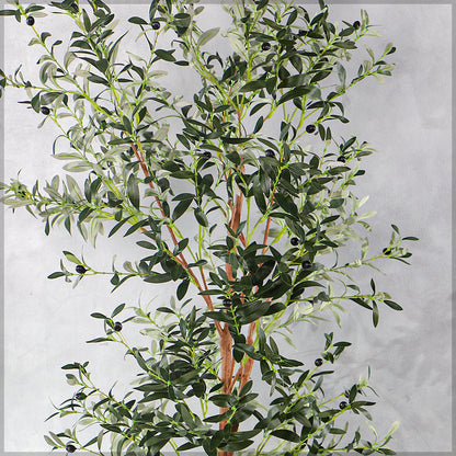 Potted Artificial Olive Plant 180cm Tall