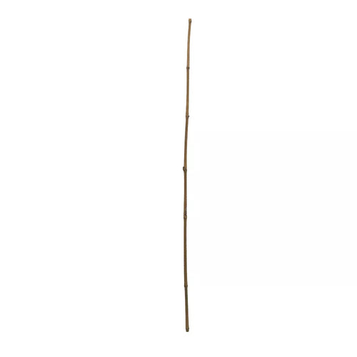 natural thick bamboo stakes
