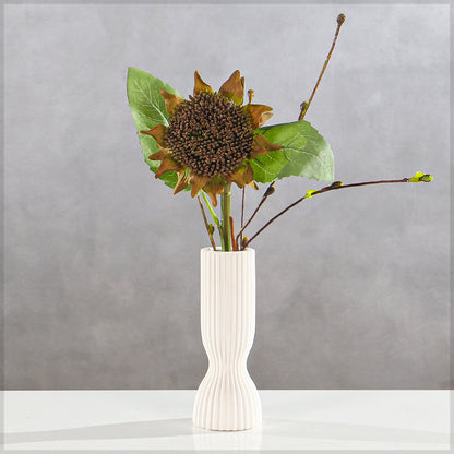 Brown Sunflower Stem