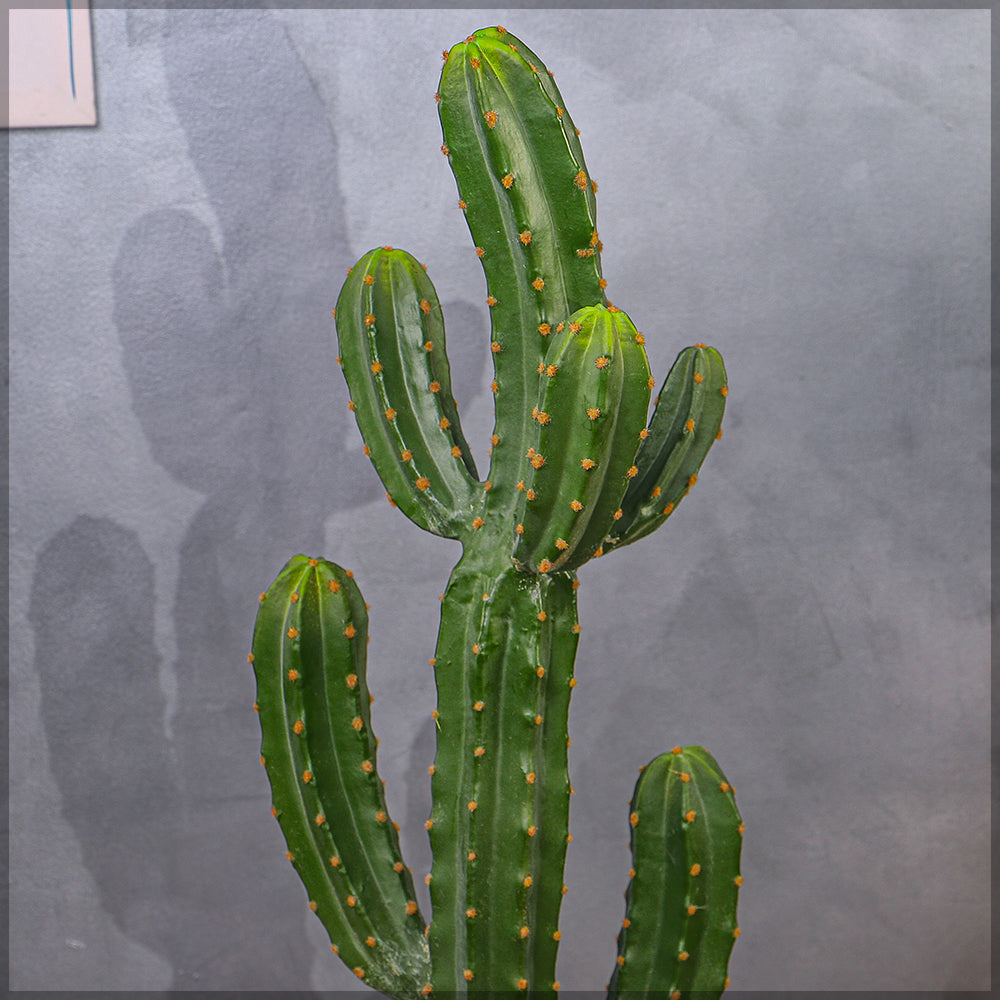 Artificial Potted Cactus Plant