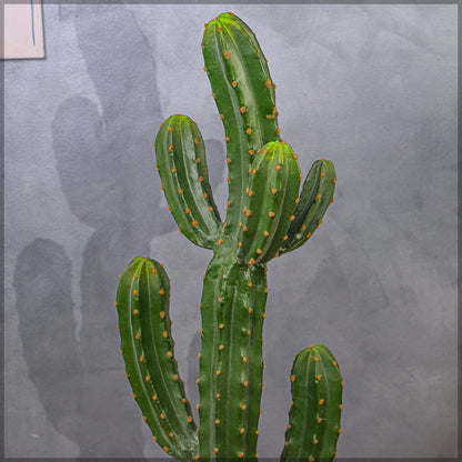 Artificial Potted Cactus Plant