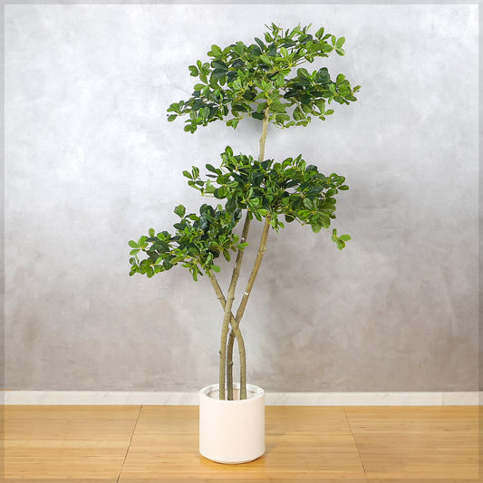 Artificial Ficus Panda Plant 180cm Tall