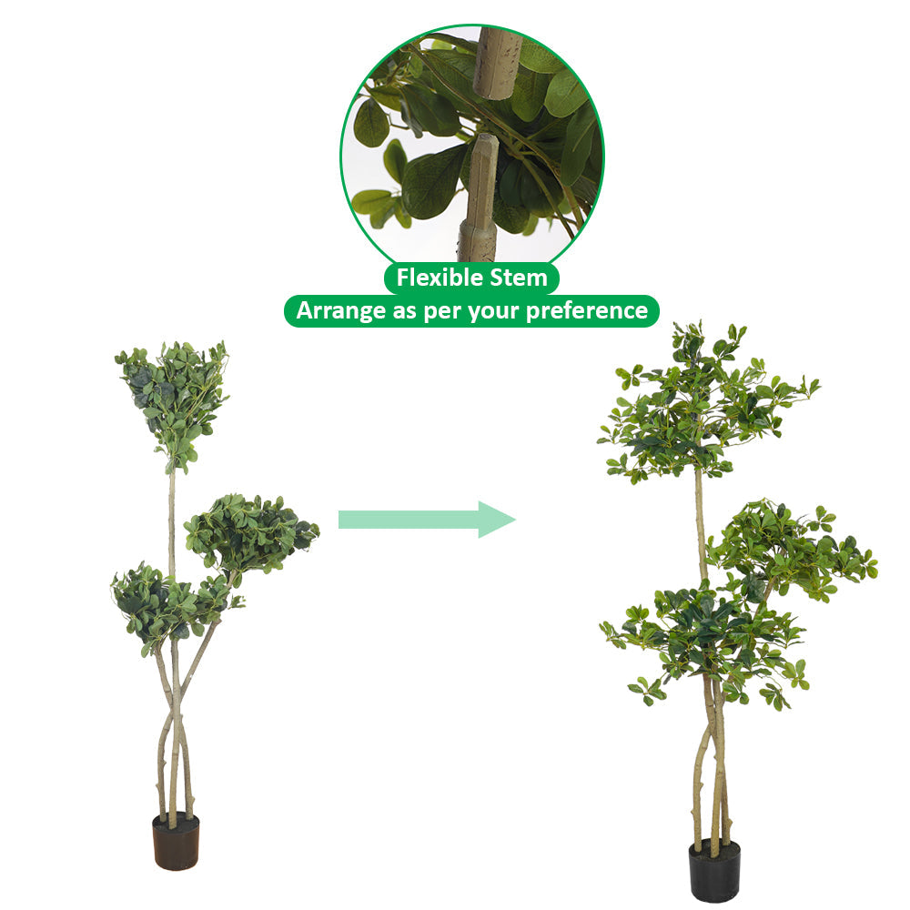 Artificial Ficus Panda Plant 180cm Tall