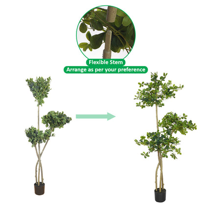 Artificial Ficus Panda Plant 180cm Tall