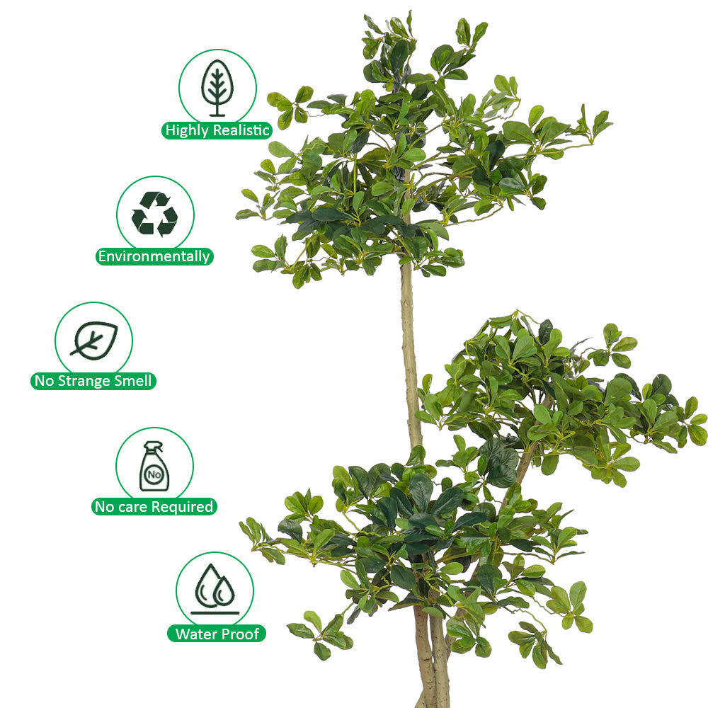 Artificial Ficus Panda Plant 180cm Tall