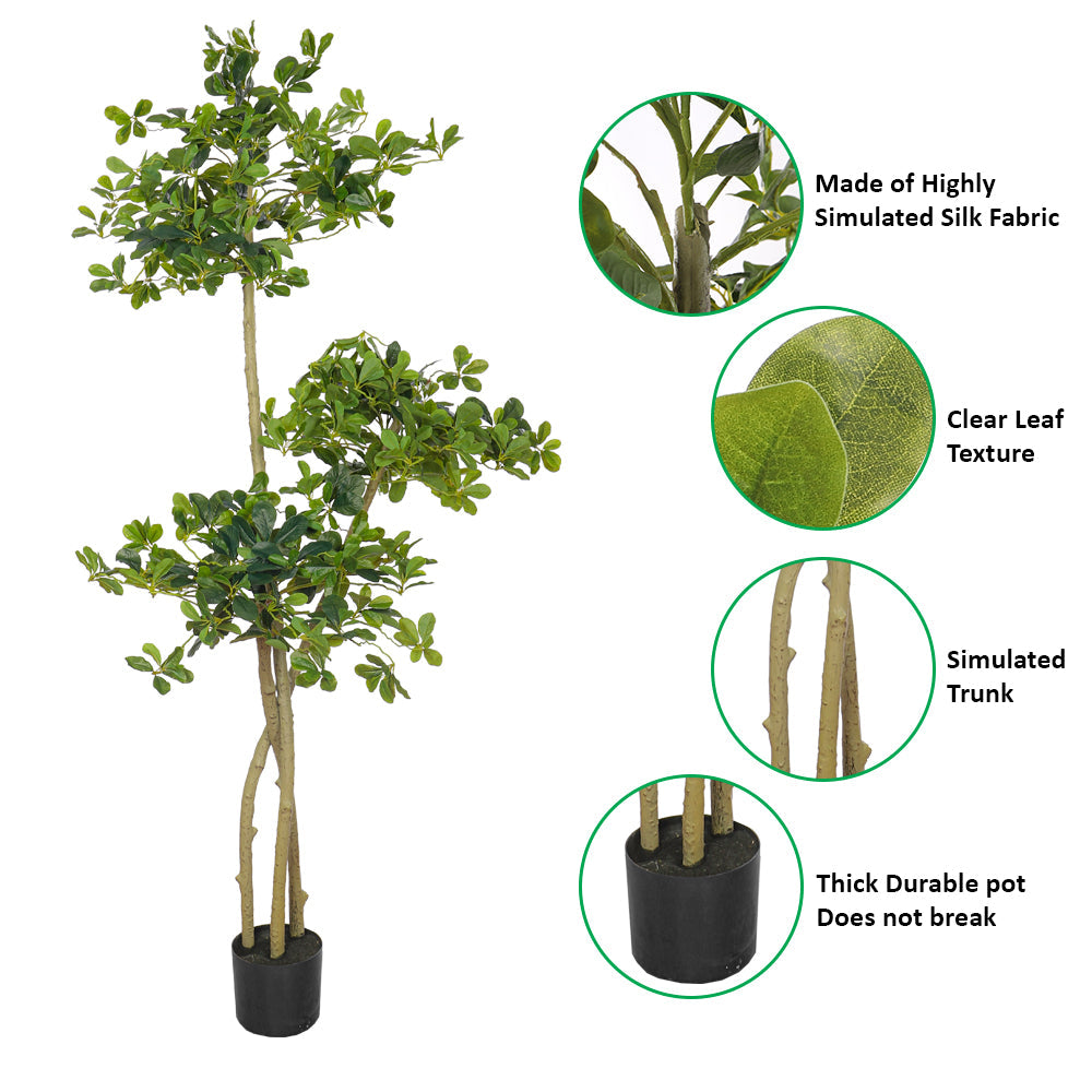 Artificial Ficus Panda Plant 180cm Tall