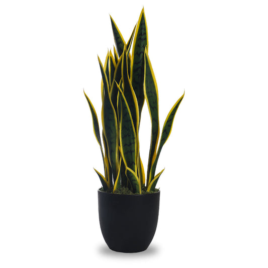 Artificial Snake Plant