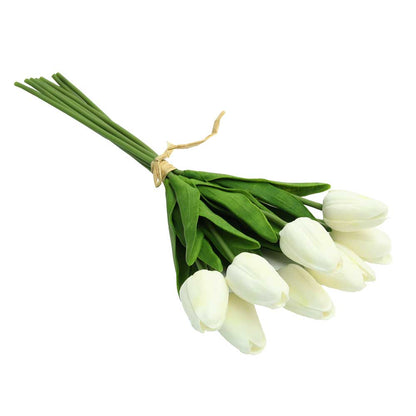 Tulip Flowers