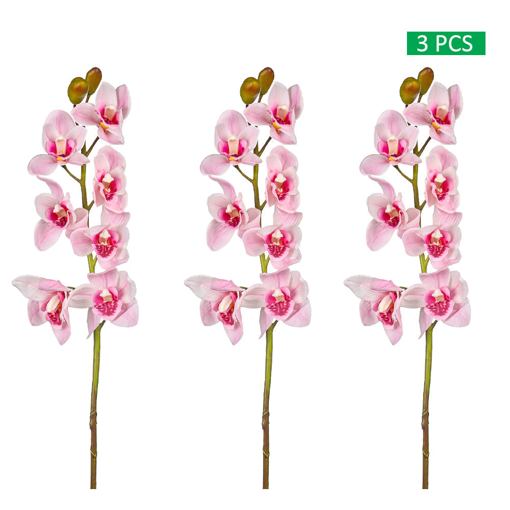 orchid stems