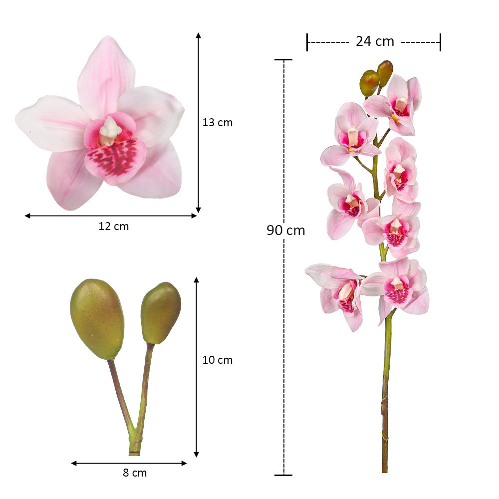 cymbidium orchid branch