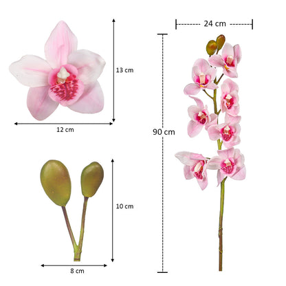cymbidium orchid branch