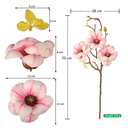 Realistic Magnolia Display