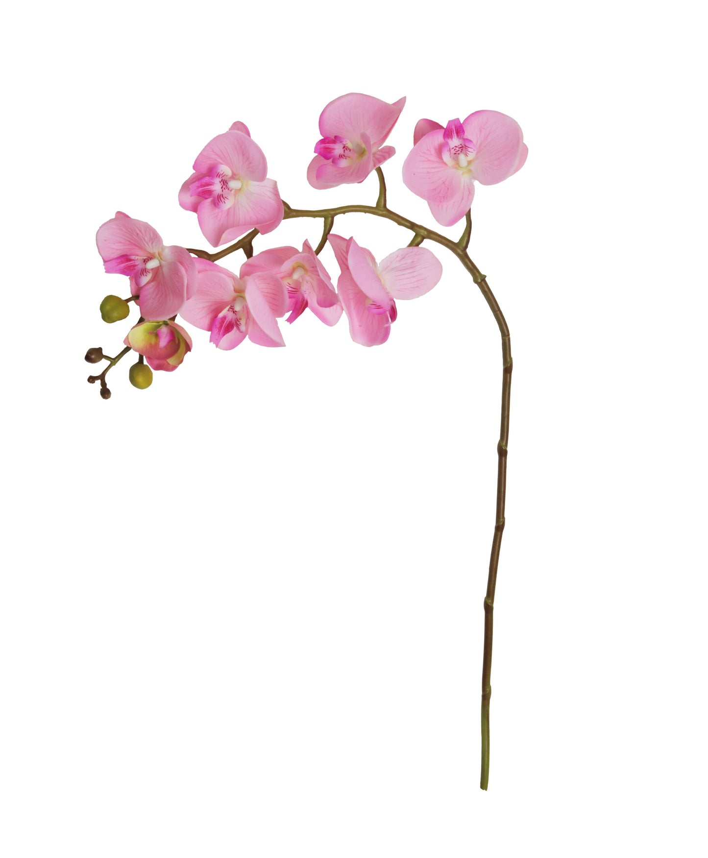 Nearly Natural Orchid Flower Stems