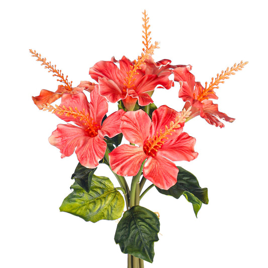 Hibiscus flower stem
