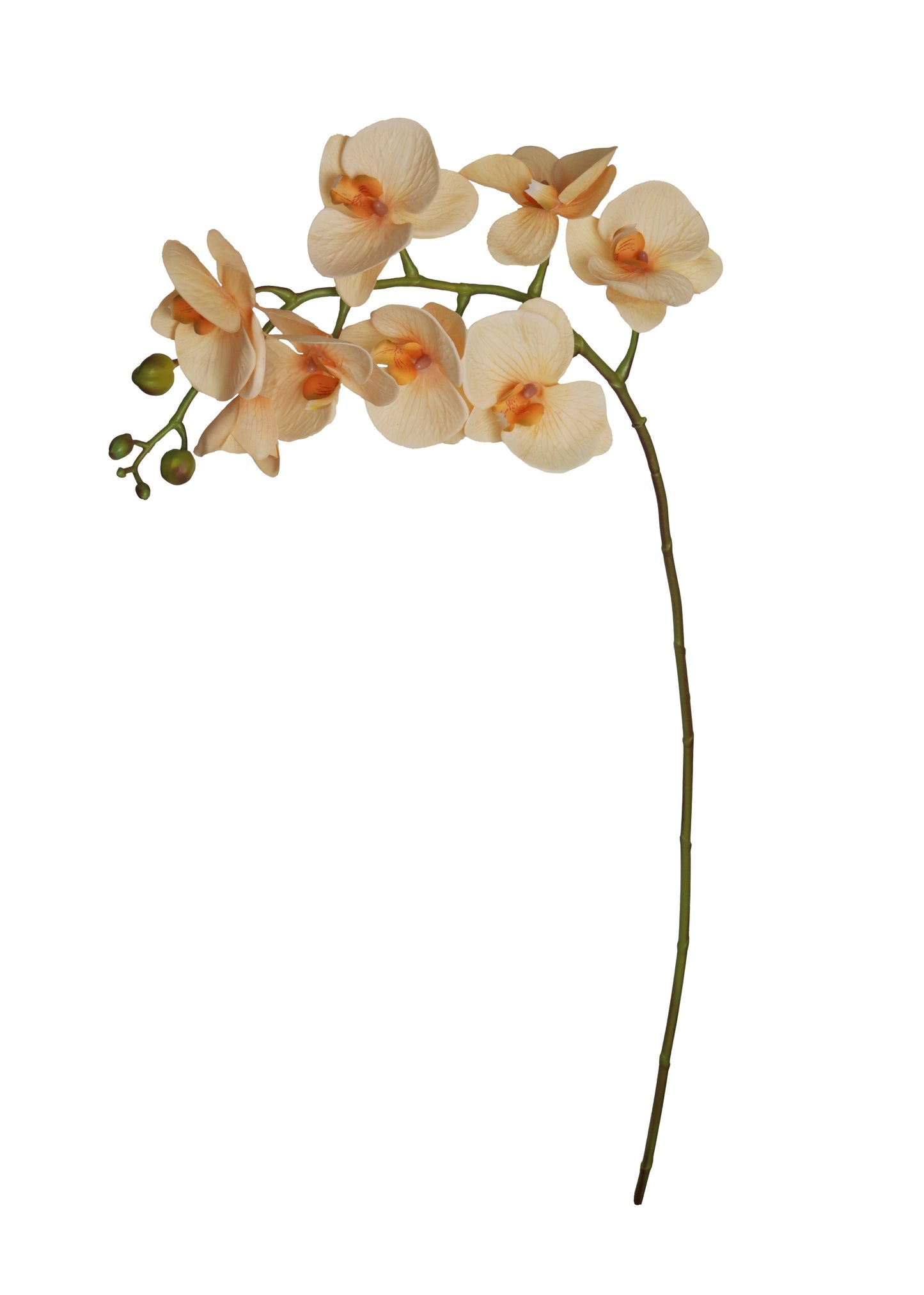 Nearly Natural Orchid Flower Stems