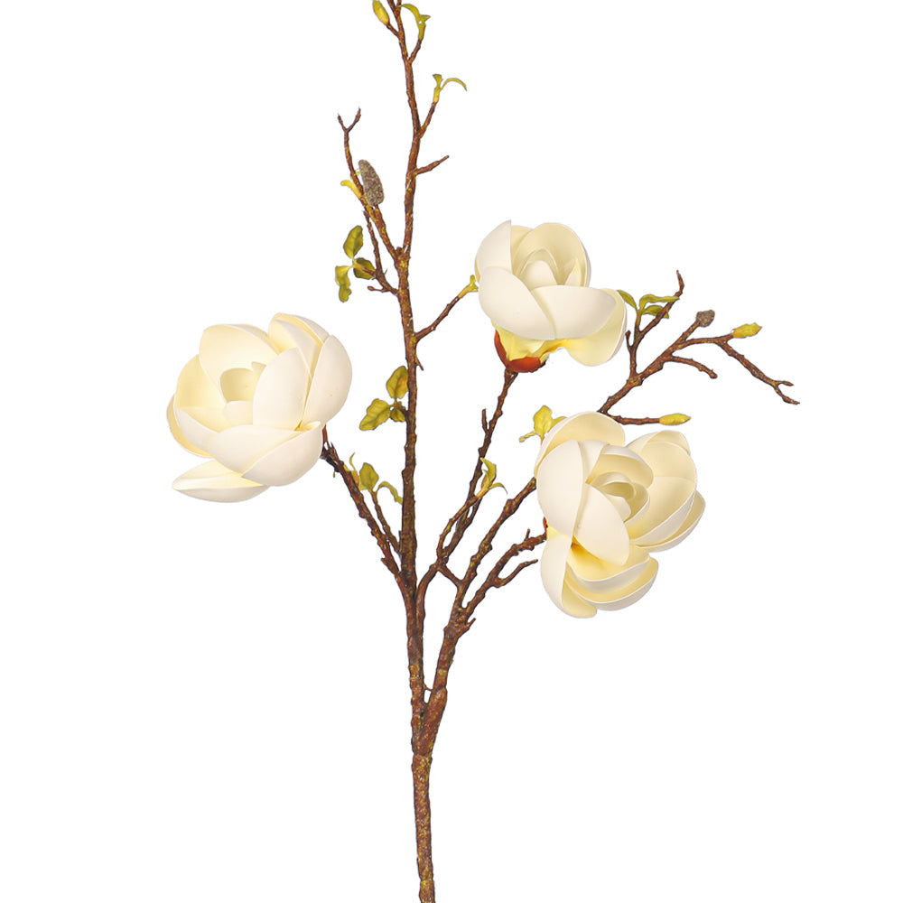 Magnolia flower stem