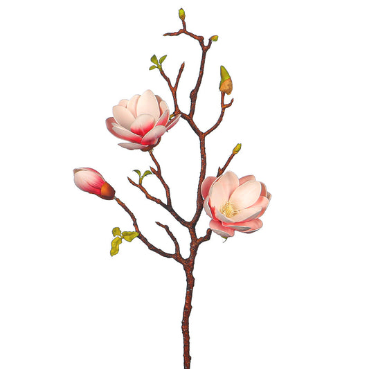 Nearly natural magnolia flowers