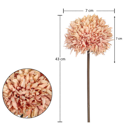 Mini thorn ball dandelion